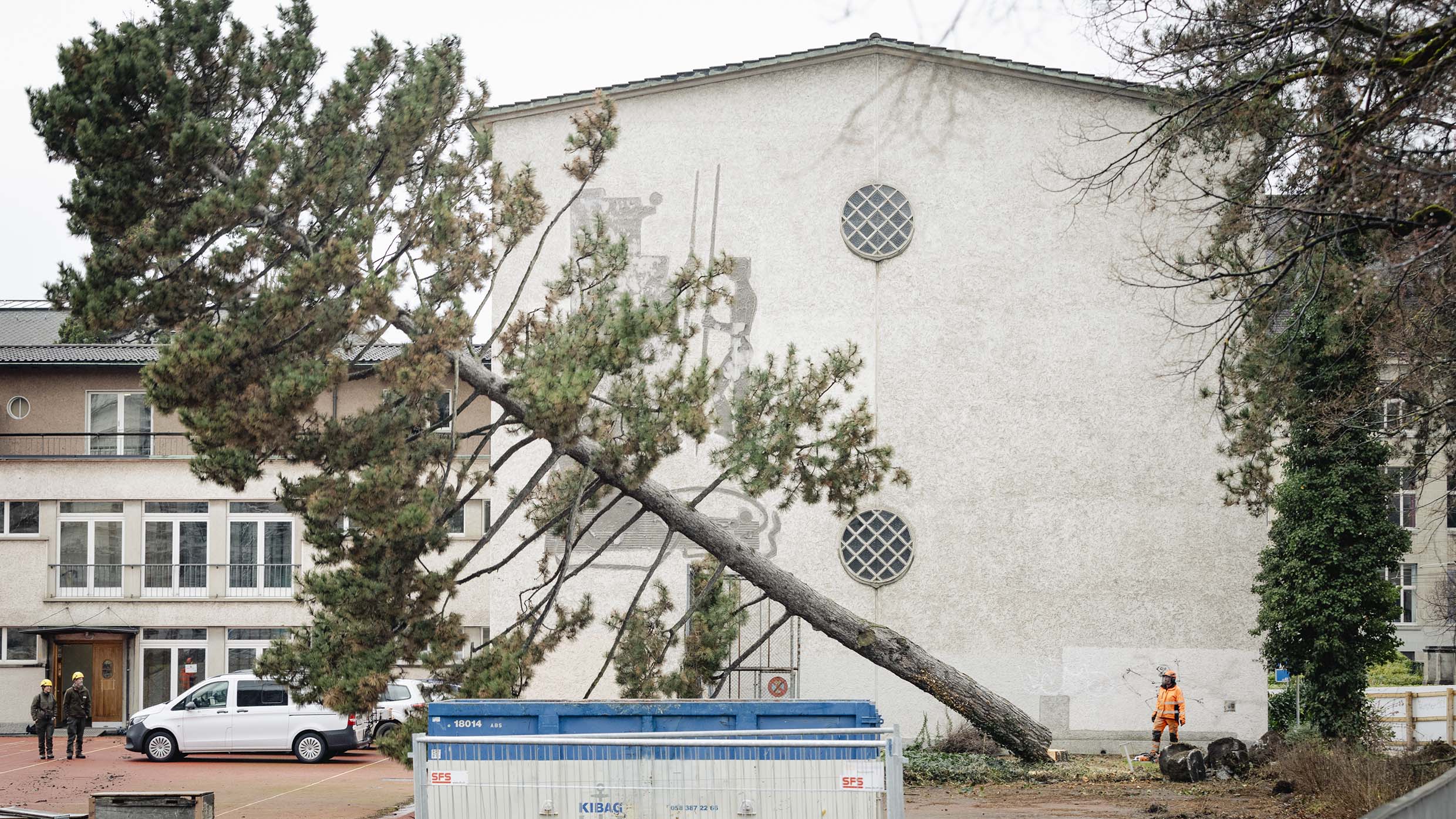5_Areal_Waesserwies_Rodungen_grosser_gefaellter_Baum_vor_Turnhalle