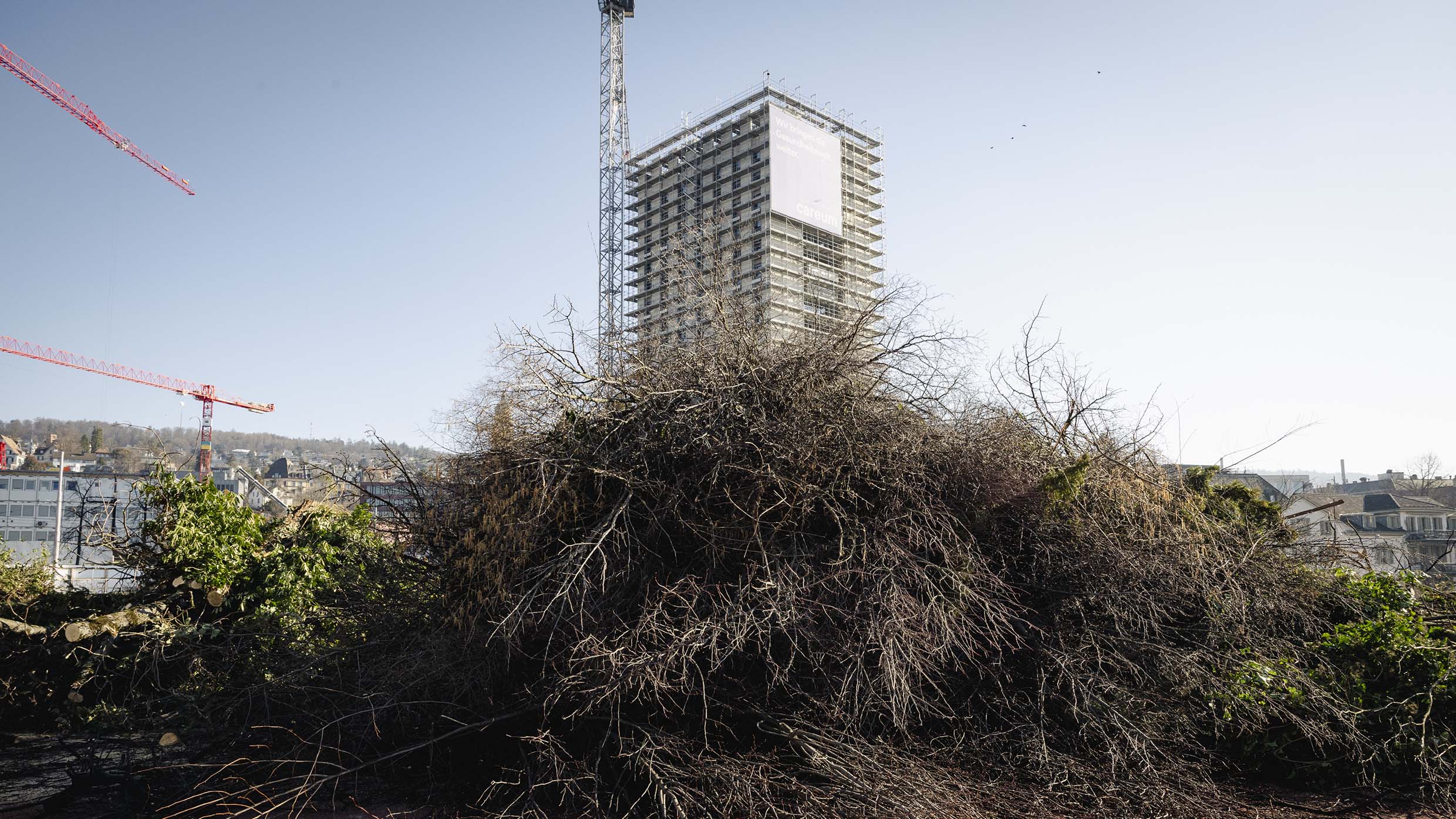 6_Areal_Waesserwies_Rodungen_Strauchhaufen_vor_Hochhaus