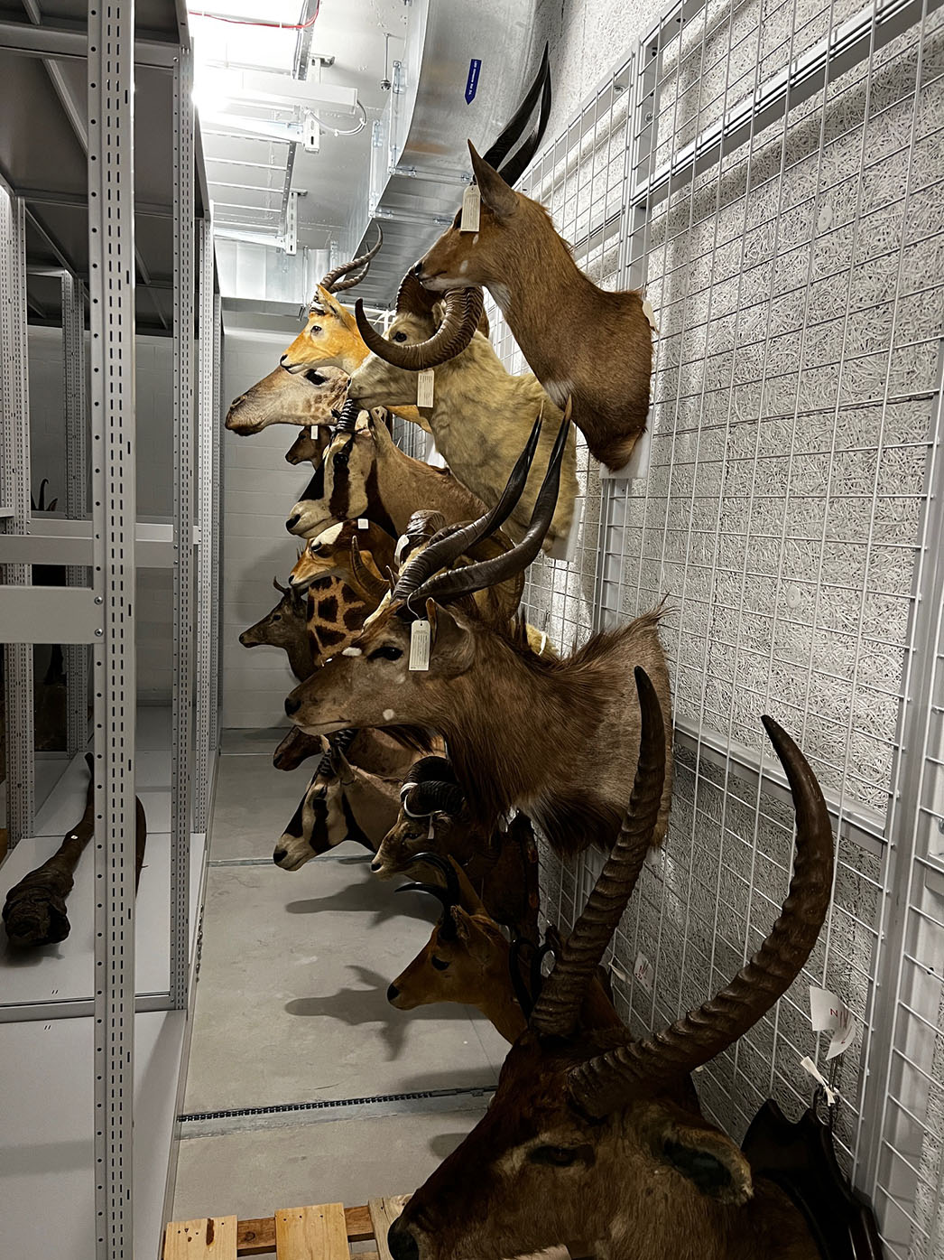 Sammlung 2